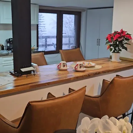 Wild House Chalet Sinaia