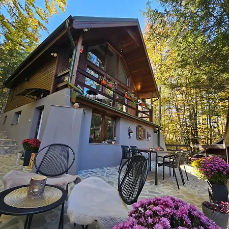 Wild House * Sinaia