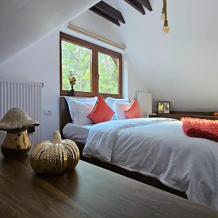 Chalet Wild House Sinaia