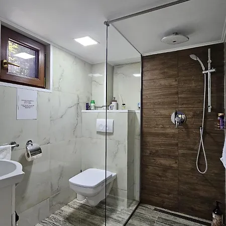 Chalet Wild House Sinaia